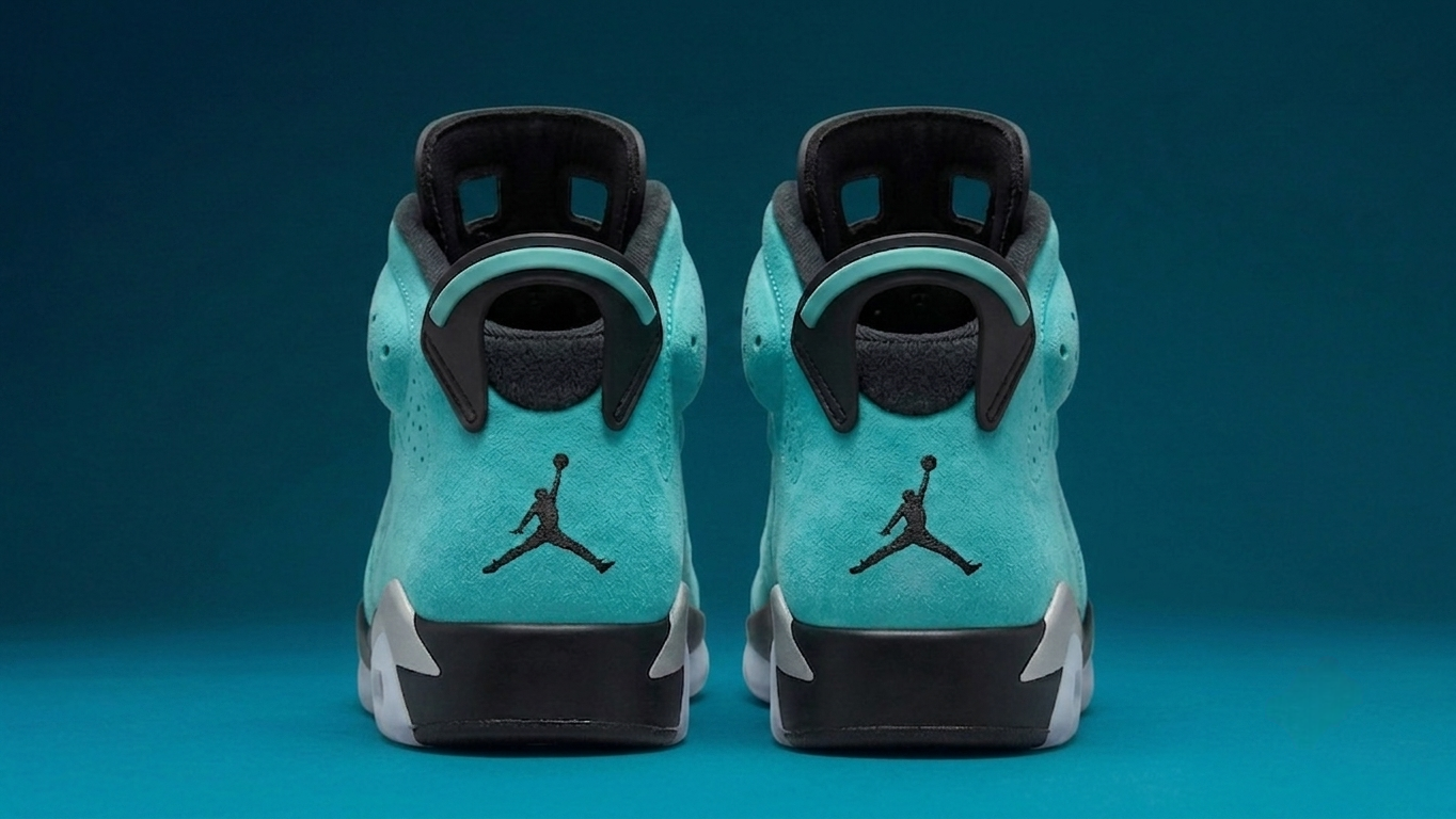 Air Jordan 6 Light Aqua/Multi